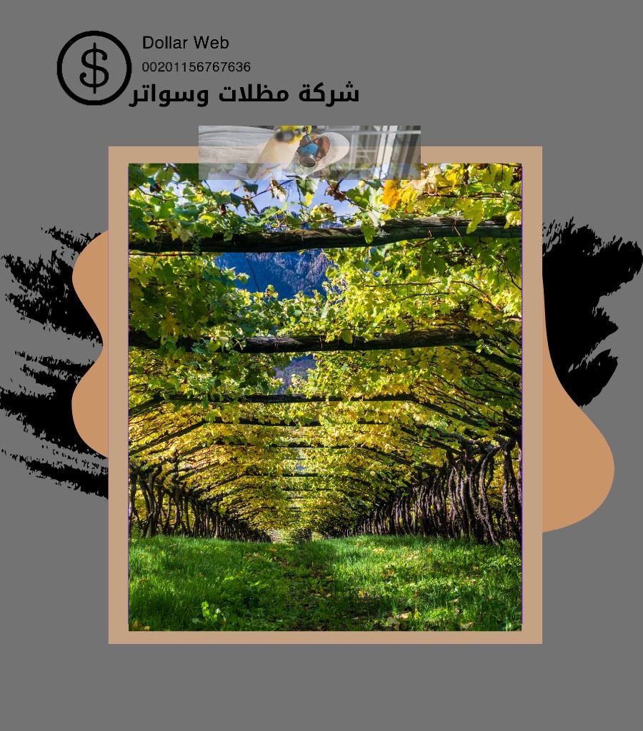 سواتر ومظلات حي الريان بالرياض