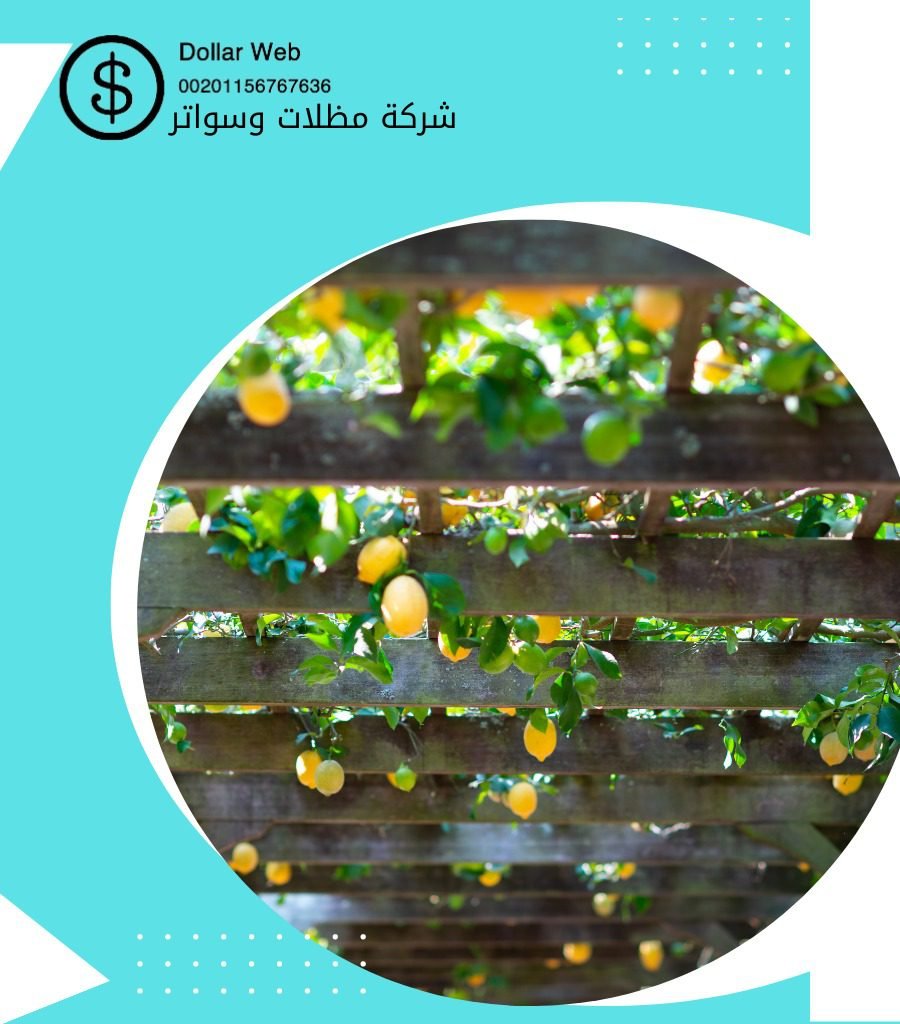 تركيب قرميد بالرياض